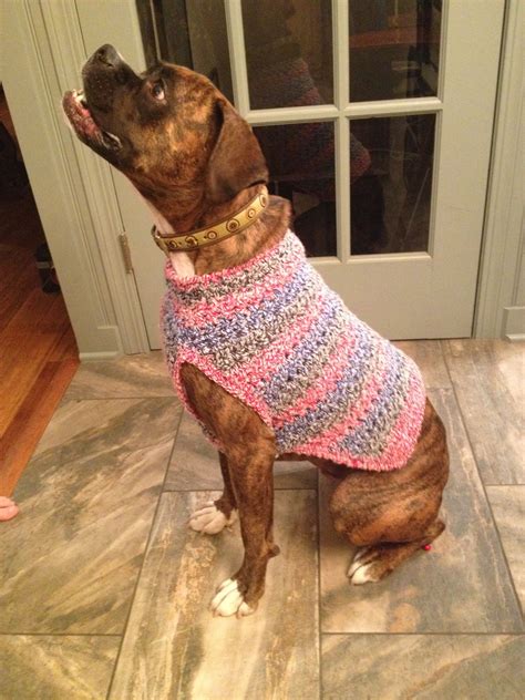 Lion Brand Dog Sweater Pattern Dog Sweater Pattern