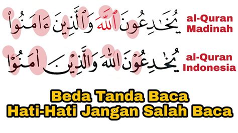 14 Perbedaan Al Quran Madinah And Al Quran Indonesia Contoh And Praktek Youtube