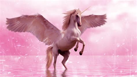 Pink Wings Wallpapers Wallpaper Cave