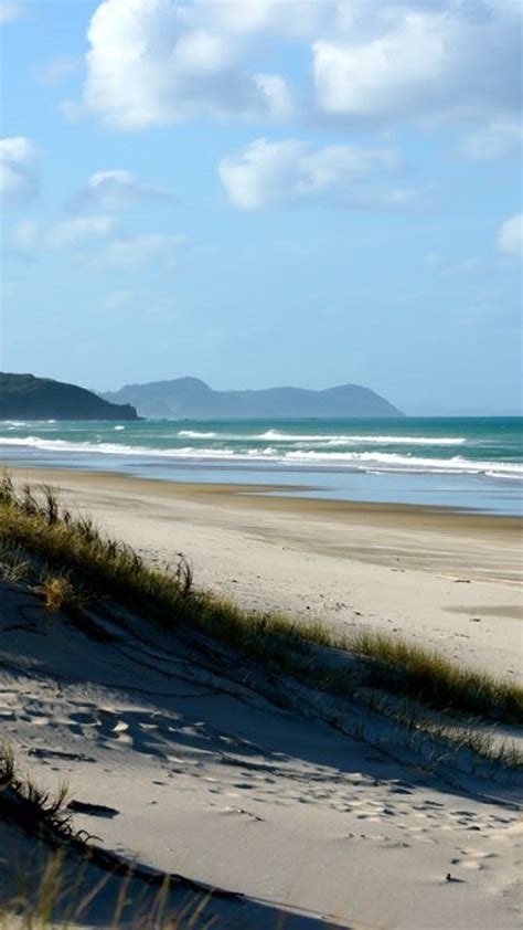 Discover The 10 Best Beaches In Auckland — Petrina Darrah