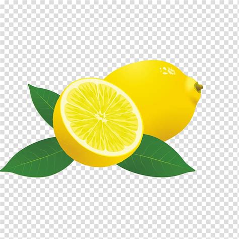 Sweet Lemon Persian Lime Lemon Lime Drink Lemon Cartoon Transparent