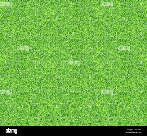 Green Grass Pattern Loop Textured Backdrop Stock Photo Alamy