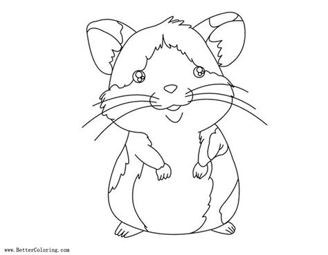 Baby Hamster Coloring Pages Free Printable Coloring Pages