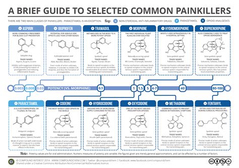 A Brief Guide To Common Painkillers