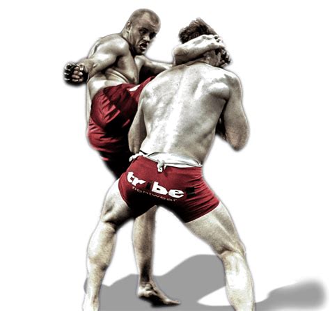 Mma Png 10 Free Cliparts Download Images On Clipground 2023