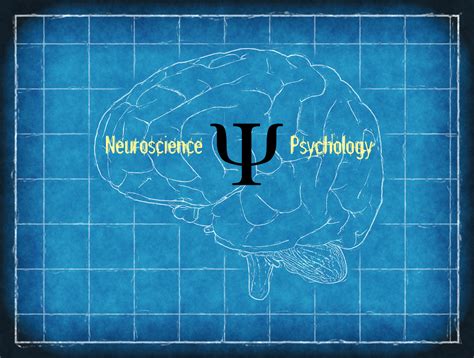The Role of Neuroscience in Psychology