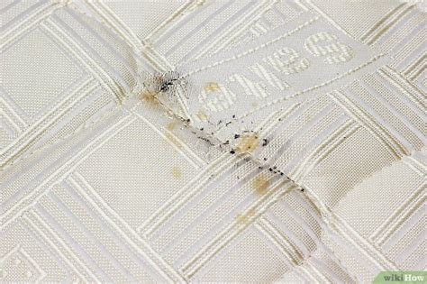 Sheet Bed Bug Stains On Mattress The Easiest Way To Spring Clean Your