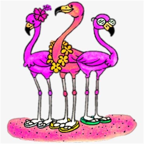 Flamingo Clipart Cute Guluwords
