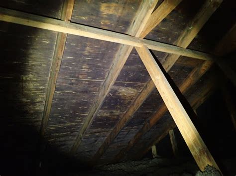 Bad Attic Ventilation The Resulting Damage And Mold Remediation Costs