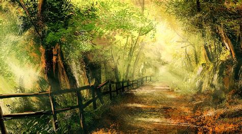 Forest Pathway Fence Forest Fall Autumn Woods Tranquil Cool