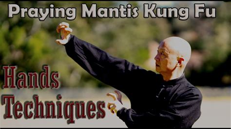 Kung Fu Training At Home 2020 For Beginners Shaolin Praying Mantis