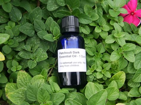 Patchouli Essential Oil Uses And Benefits Top Natural Remedies