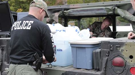 Photos Wolf Hybrids Rescued From Nh Property