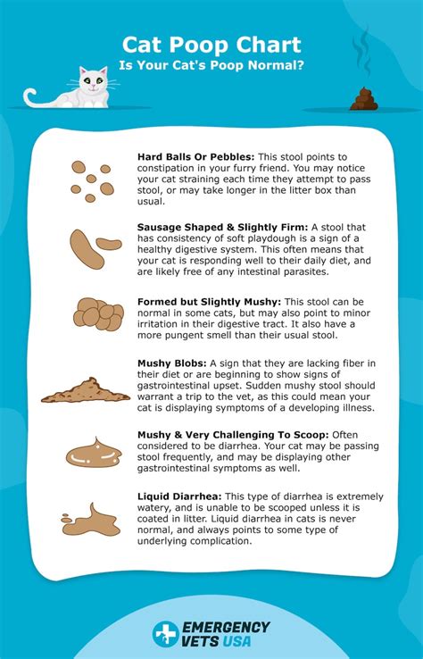 Cat Poop Chart Is Your Cats Poop Normal Runny Or Hard 2022