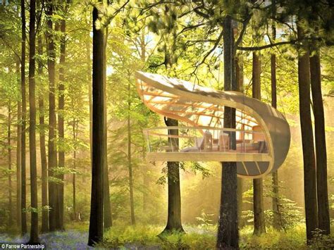 39 Amazing Tree Houses Everyone Wished They Had Growing Up