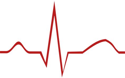 Ekg Clip Art At Clker Vector Clip Art Online Royalty Free