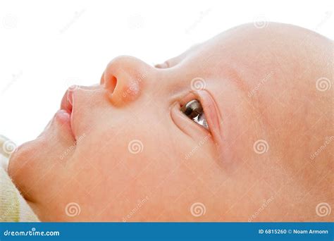 Close Up On Baby Face Stock Photo Image Of Beautiful 6815260
