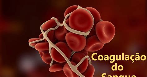 Agem Na Coagulação Do Sangue