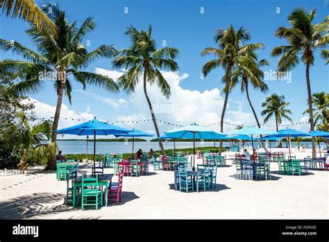 Florida Upper Florida Keys Islamorada Pierres Beach Cafe And Bar Morada