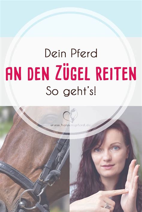 Da der begriff «am zügel» die aufmerksamkeit eigentlich nur auf den kopf des pferdes lenkt, ist er mit vorsicht zu geniessen. "Reit dein Pferd an den Zügel" ist so eine typische ...