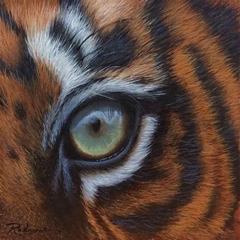 Tiger Eye Study By Carole Rodrigue Oil ~ 6 X 6 How To Paint A Tiger