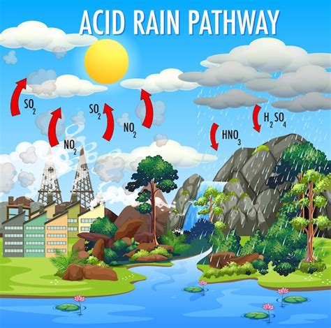 Free Vector Diagram Showing Acid Rain Pathway On White Background