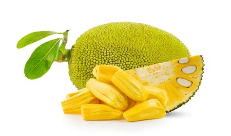 Top Benefits Of Jackfruit Nutritional Values And Side Effects