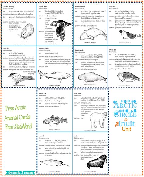 Arctic Unit Free Guides And Resources Tinas Dynamic Homeschool Plus
