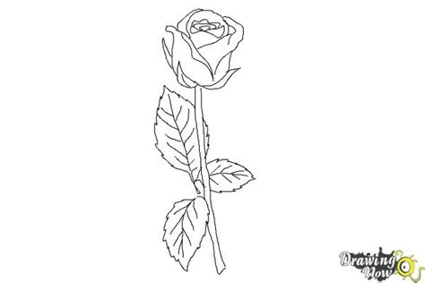 Draw outline for inner petal shapes as shown. How to Draw a Rose Step by Step for Beginners - DrawingNow