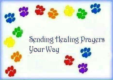 Prayer source *i have taken the liberty of changing the prayer to suit our prayers for our sick pets. Sending Healing Prayers Your Way | Prayers for healing ...