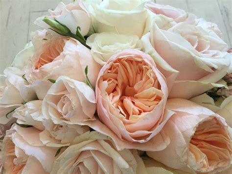 David Austin Juliette Sweet Avalanche And Avalanche Roses Mini Spray