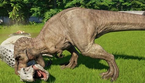 13 Terrific Facts About The Tyrannosaurus Rex The Fact Site