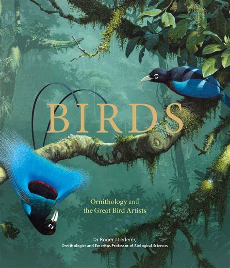 Birds Ornithology And The Great Bird Artists Ornithology