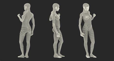 Female Muscular System Anatomy Rigged For Cinema 4d 3d Model 3d Model