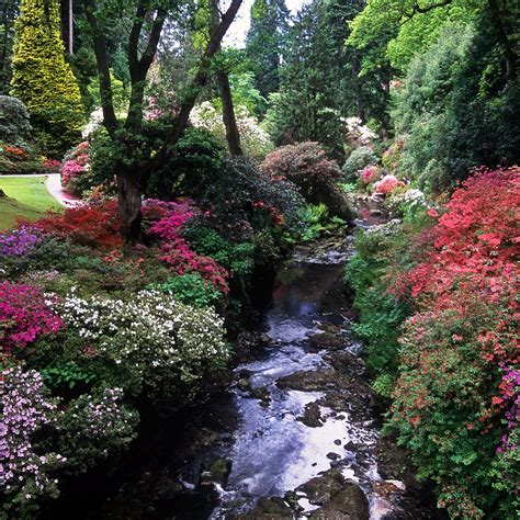 Bodnant Gardens, Conwy, Wales, UK | River banks covered in… | Flickr