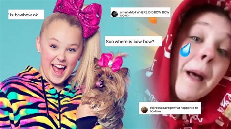 What Really Happened To Jojo Siwas Dog Bowbow Youtube