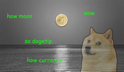 To the mooooonnn!!», — написал глава spacex. Dogetip to the moon : dogecoin