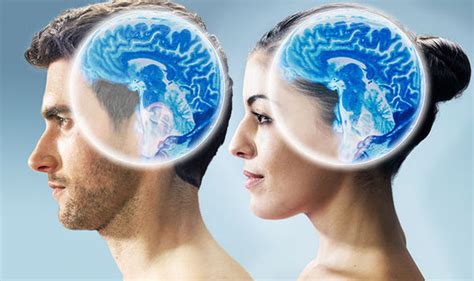 Men Have Bigger Brains Then Women But Theirs Are More Efficient Study