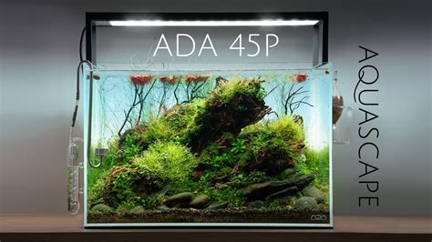 ADA 45P Aquascape Step By Step Powered By USCAPE YouTube