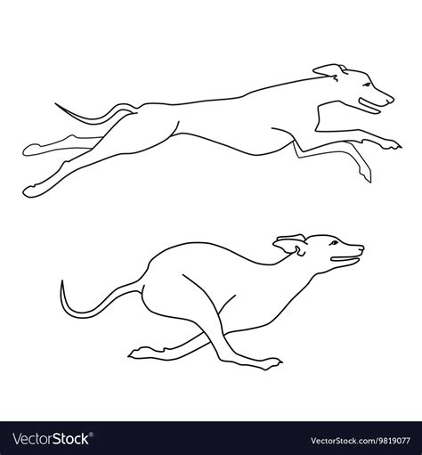 How To Draw A Dog Running Step By Step Bmp We