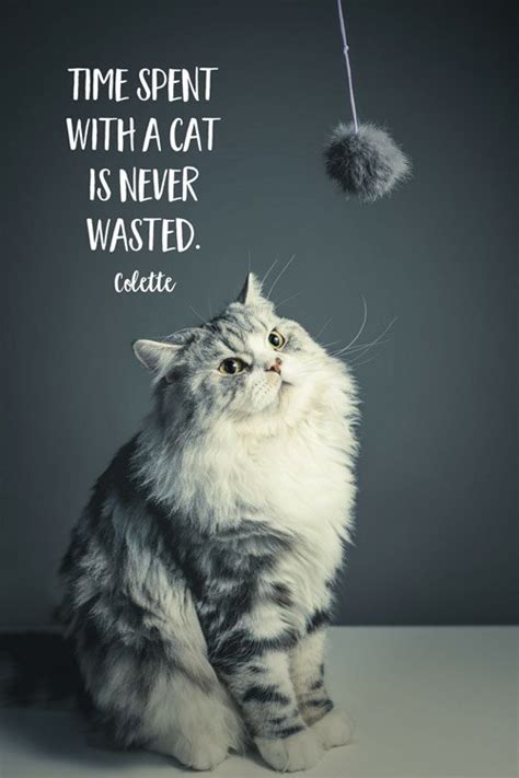Famous Quotes About Cats And The People Who Love Them