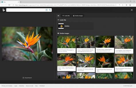 Microsoft Brought Visual Search Bing On Your Windows