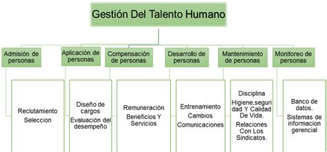 Los Seis Procesos De La Gestión Del Talento Humano