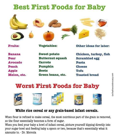 Baby First 100 Foods Pdf