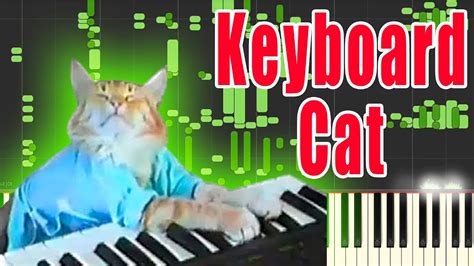 Keyboard Cat But Its Midi Auditory Illusion Keyboard Cat Piano
