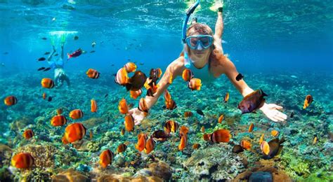 Seharian Snorkeling Trip Di Gili Nanggu Lombok By Nangmi Travel