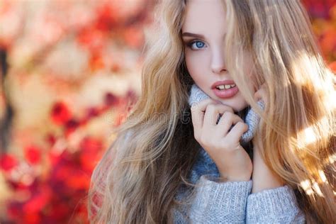 Beautiful Woman In Autumn Park Stock Photo Image Of Hair Leaf 80787316