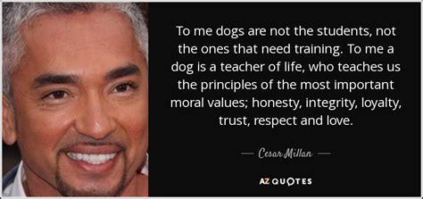 Top 25 Quotes By Cesar Millan Of 127 A Z Quotes
