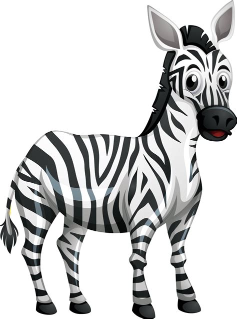 Zebra PNG image