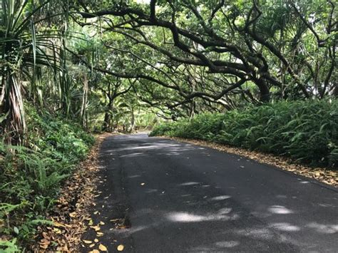 Red Road Hwy 137 Pahoa All You Need To Know Before You Go